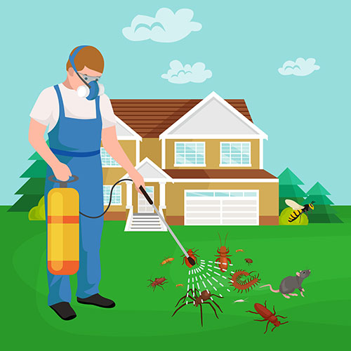 pest control north vancouver