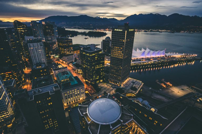 Battle of the Bugs: DIY vs Professional Pest Control in Vancouver